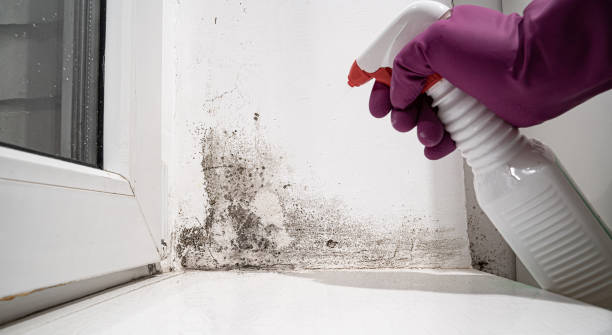 24/7 water damage repair in Snowflake, AZ